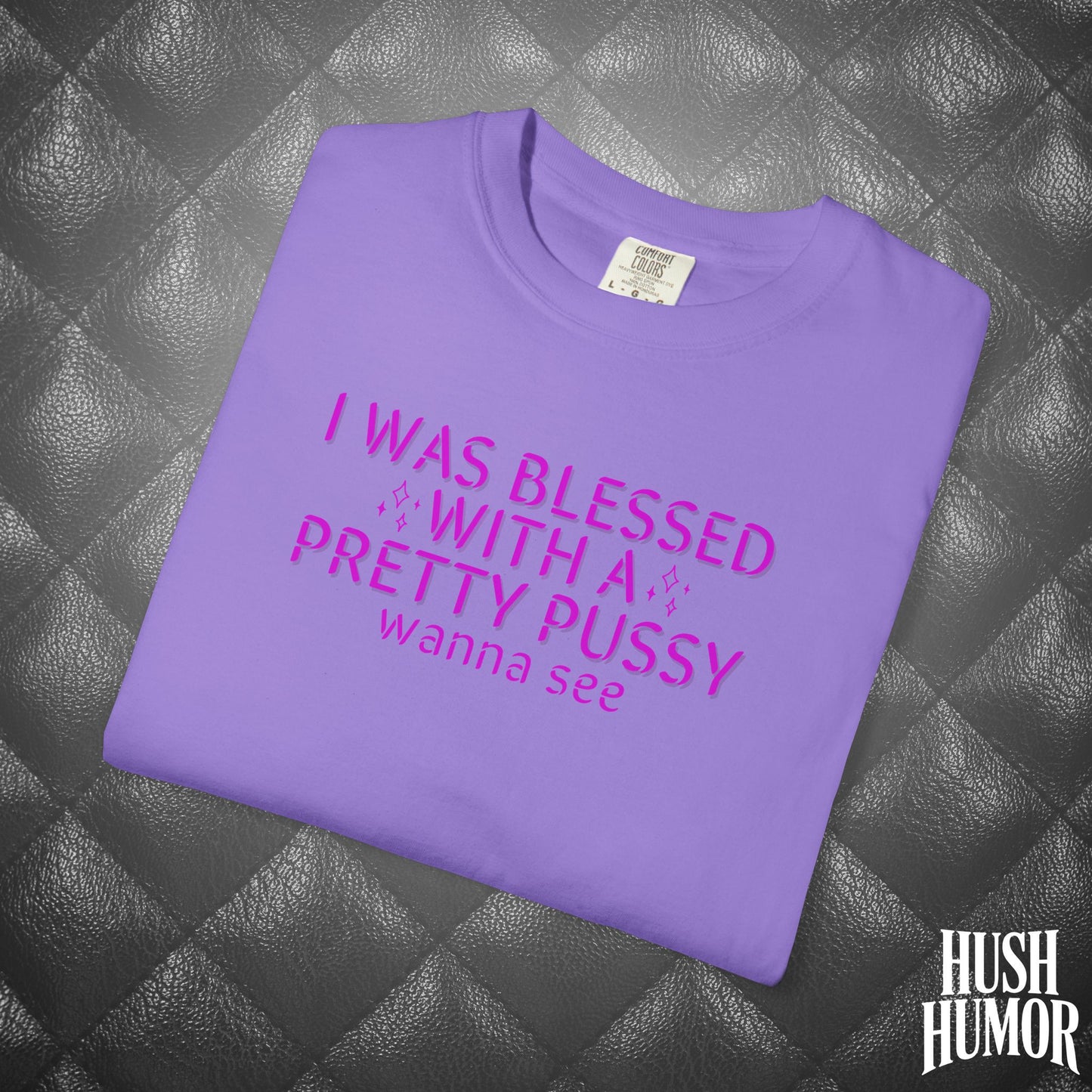 I Was Blessed With a Pretty Psssy T-Shirt – Naughty Girl Power Shirt, Dirty Wife Tee, Kink Shirt