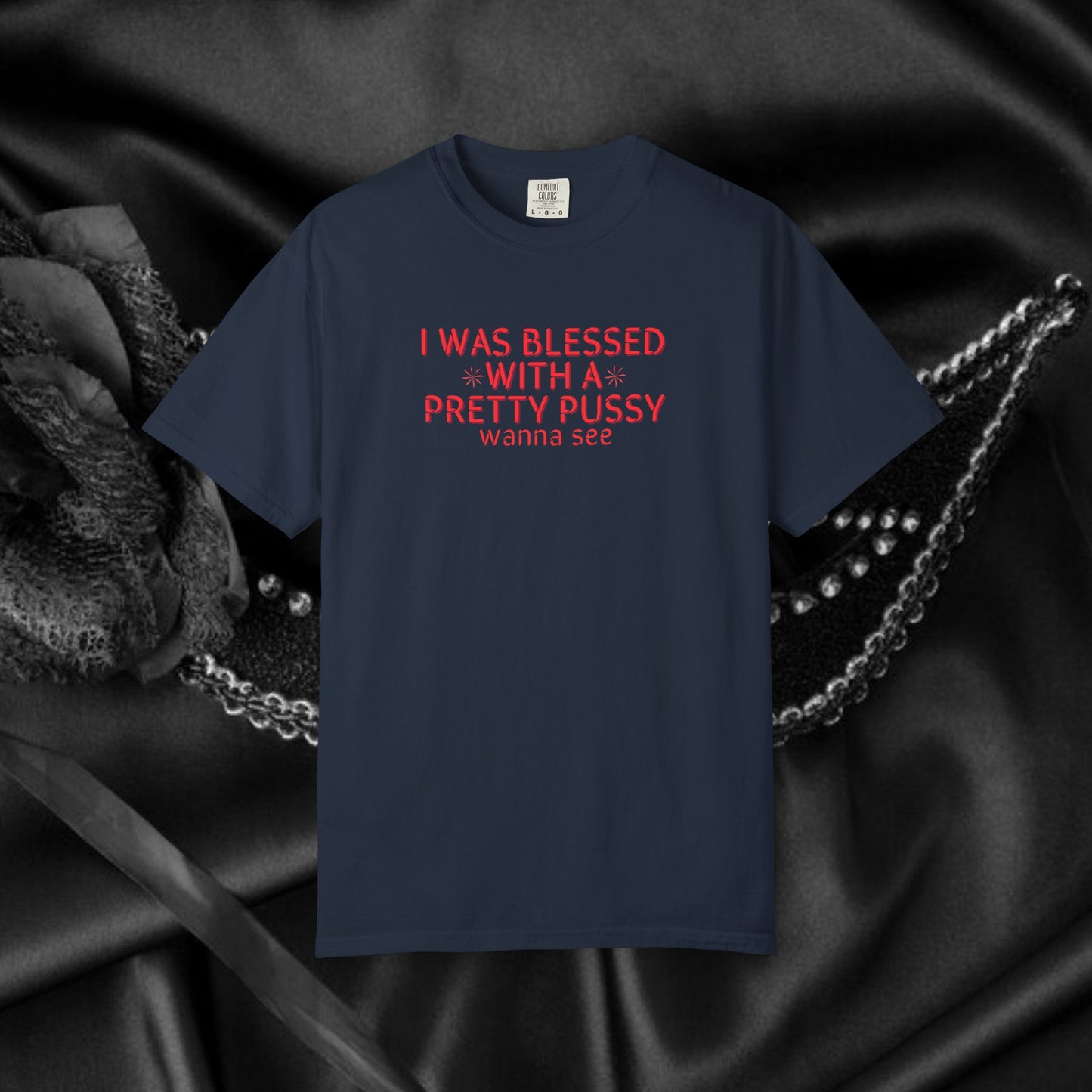 I Was Blessed With a Pretty P*ssy T-Shirt – Naughty Girl P*ssy Power MILF Shirt, Adult Humor Party Tee