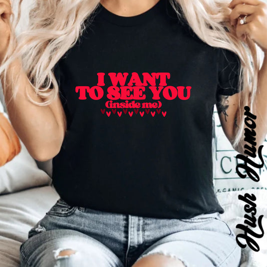 I Want to See You Inside Me, dirty apparel for naughty girls, Funny Saying tshirt NSFW Apparel
