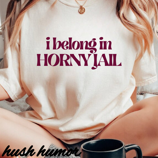 I Belong in Horny Jail, Fun Adult Gift, Inappropriate Offensive Ladies tshirt
