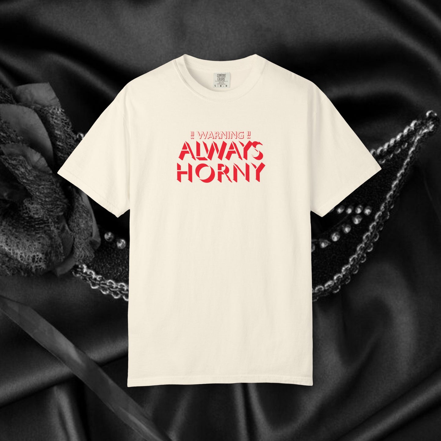 Naughty Shirt Women's Tshirt, Sexy Saying Tee, Inappropriate Ladies Comfort Colors, Funny Mature Apparel, Offensive Wife Gift, Horny Joke