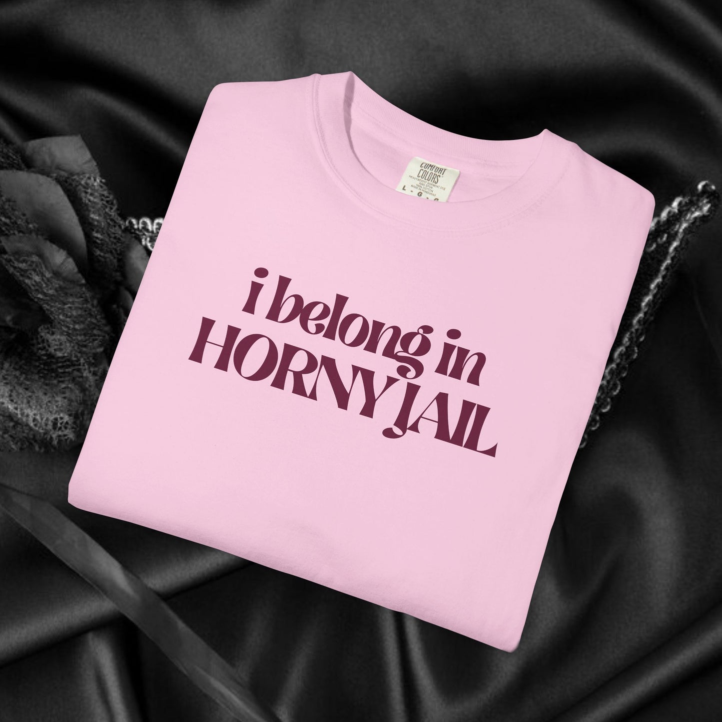 I Belong in Horny Jail, Fun Adult Gift, Inappropriate Offensive Ladies tshirt