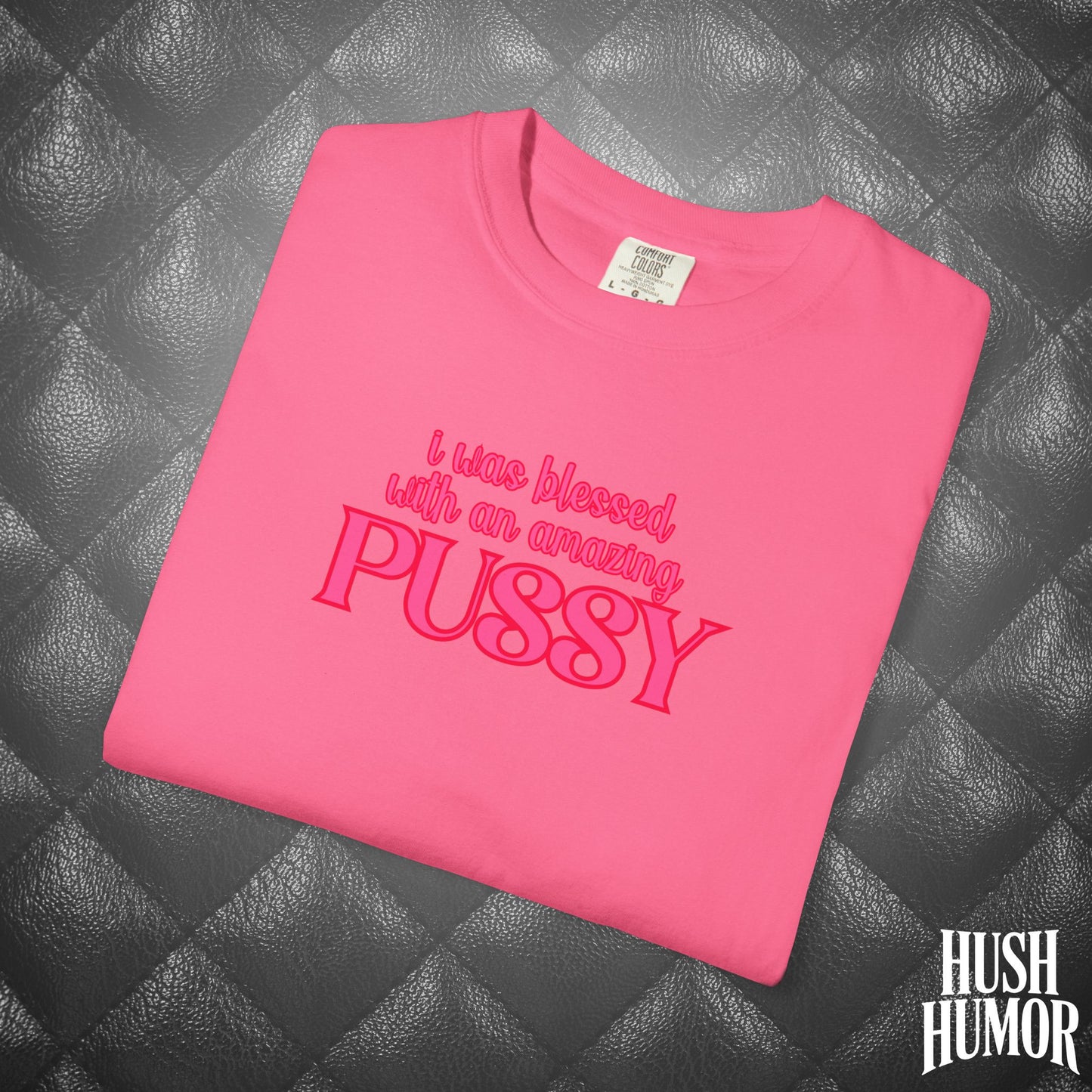 I Was Blessed With an Amazing Psssy Shirt – Funny NSFW T-Shirt for Naughty Wife