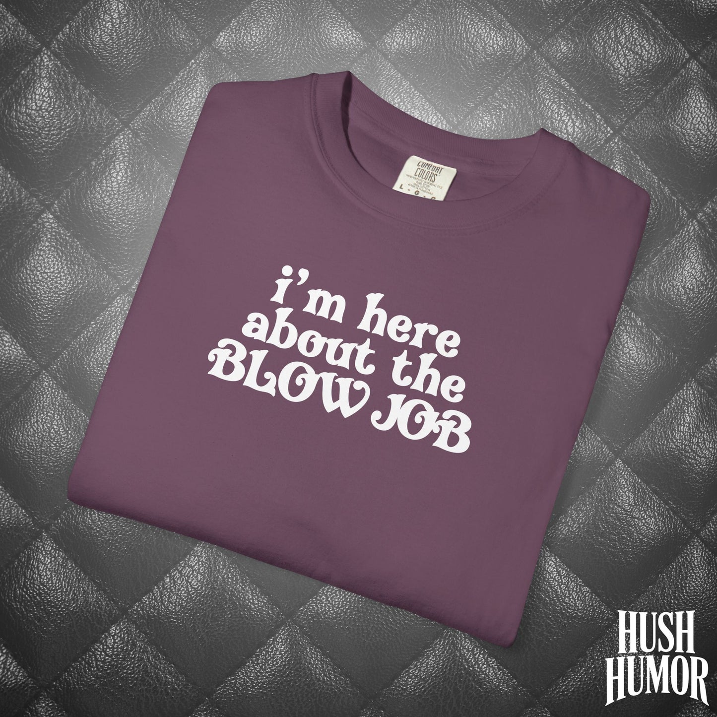 I'm Here About the Blow Job T-Shirt | Naughty Girl Sex Humor Tee | Sarcastic Dirty Shirt for Women | Hot Wife Adult Graphic Apparel